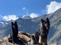 Gitan und Shani